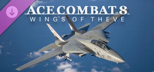 ACE COMBAT 8 - Playable Aircraft: F-14A