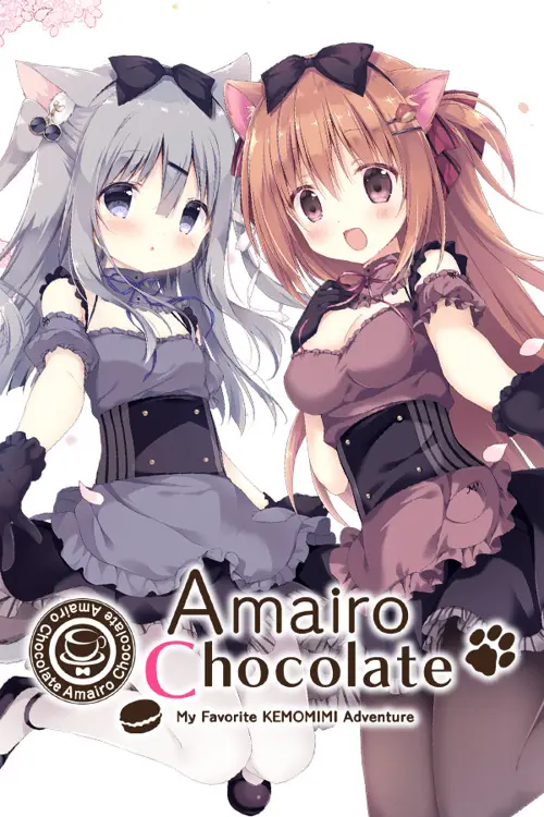 Amairo Chocolate - Should you buy now or wait? Purchase decision analysis