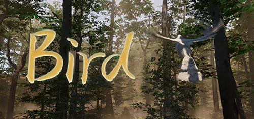Bird - Should you buy now or wait? Purchase decision analysis