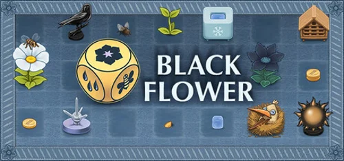 Black Flower - Você deve comprar agora ou esperar? Análise de decisão de compra