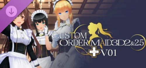 CUSTOM ORDER MAID 3D2 & 2.5 + V01