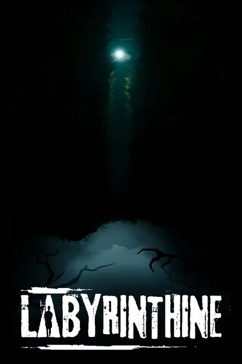 Labyrinthine - Você deve comprar agora ou esperar? Análise de decisão de compra