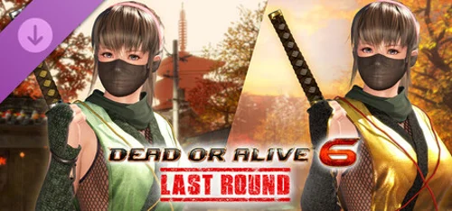 Morphing Ninja Costume - Hitomi