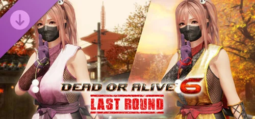 Morphing Ninja Costume - Honoka