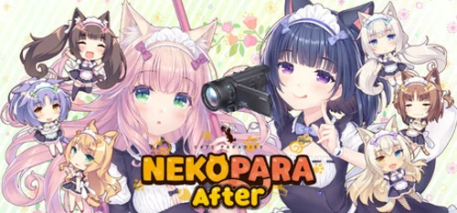 NEKOPARA After - Should you buy now or wait? Purchase decision analysis