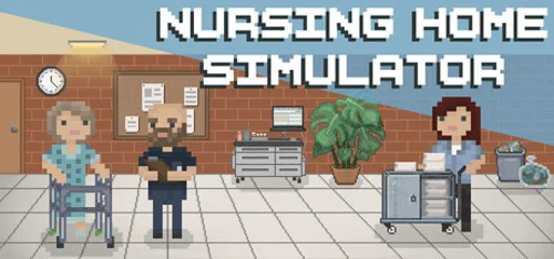 Nursing Home Simulator - Should you buy now or wait? Purchase decision analysis