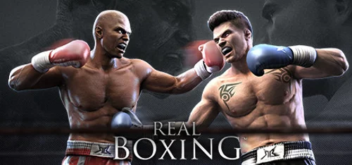 Real Boxing™ - Should you buy now or wait? Purchase decision analysis