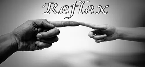 Reflex - Should you buy now or wait? Purchase decision analysis