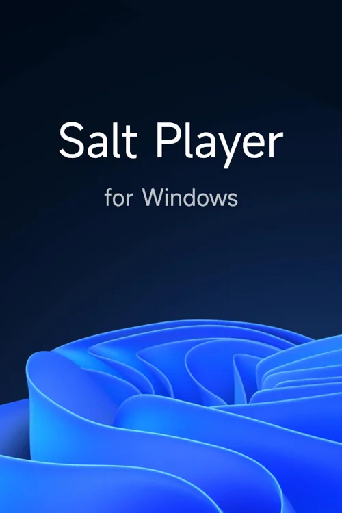 Salt Player for Windows - Should you buy now or wait? Purchase decision analysis