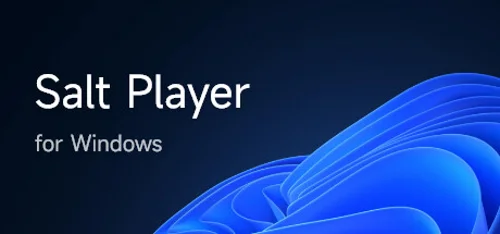 Salt Player - Should you buy now or wait? Purchase decision analysis
