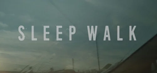 Sleep Walk - Should you buy now or wait? Purchase decision analysis