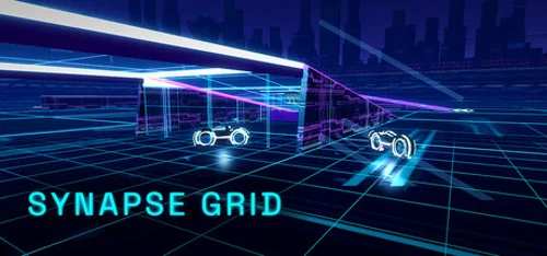 Synapse Grid