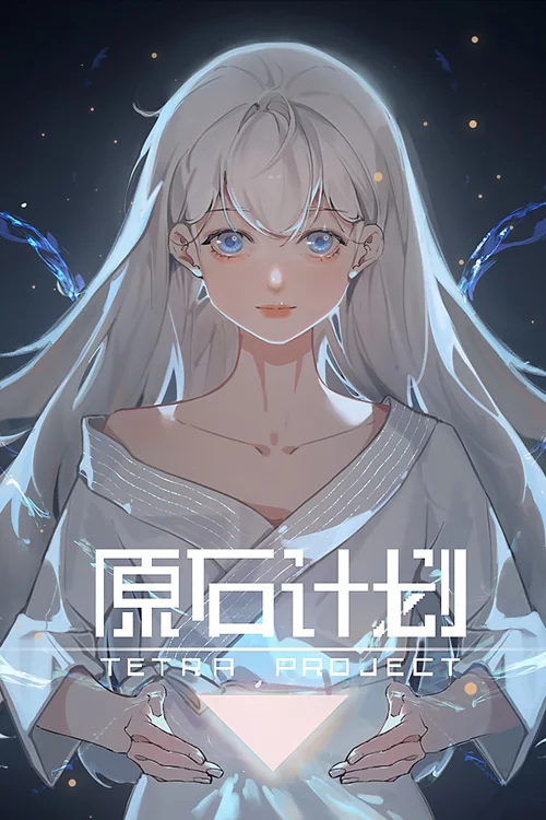 Tetra Project - 原石计划 - Should you buy now or wait? Purchase decision analysis