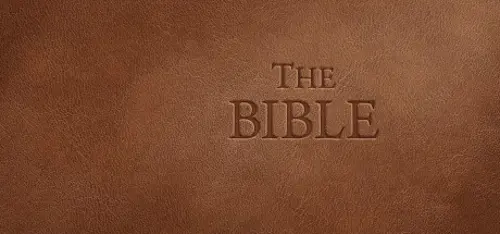 The Bible - Você deve comprar agora ou esperar? Análise de decisão de compra