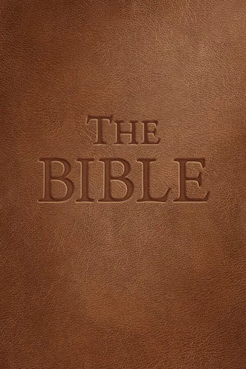 The Bible - Você deve comprar agora ou esperar? Análise de decisão de compra