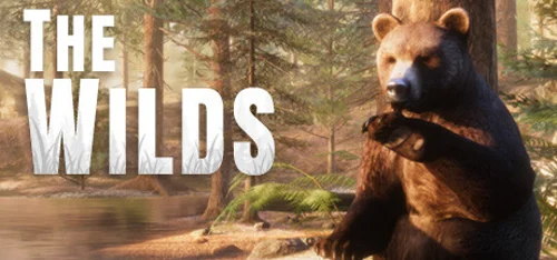 The WILDS - Você deve comprar agora ou esperar? Análise de decisão de compra