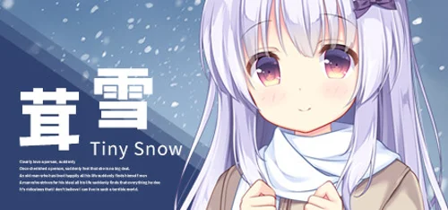 Tiny Snow