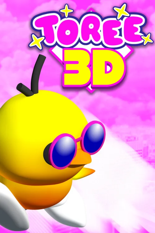 Toree 3D - Should you buy now or wait? Purchase decision analysis