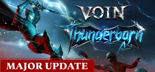 VOIN