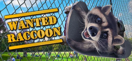 Wanted Raccoon - Should you buy now or wait? Purchase decision analysis