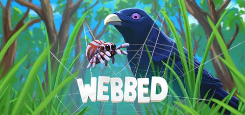 Webbed - Should you buy now or wait? Purchase decision analysis