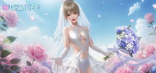 ZM Desktop Elf